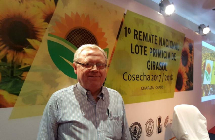 girasol.jpg