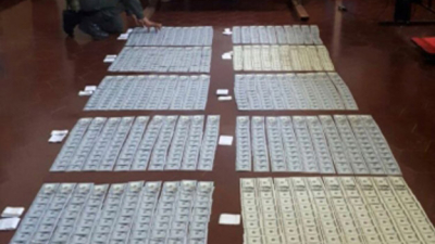 Corrientes: decomisan 140 mil dólares que serían para pagar cargamento de droga