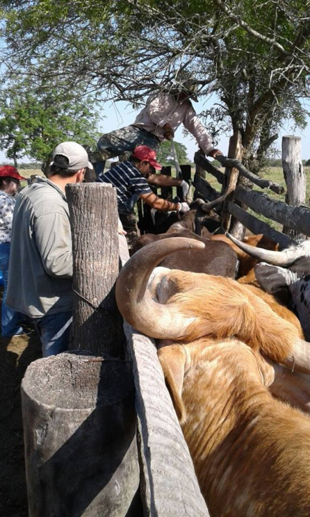 en el corral.jpg