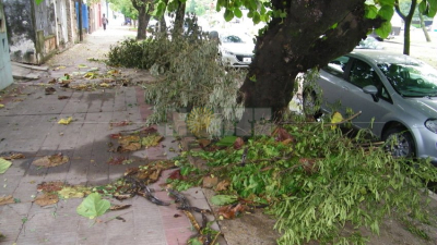 Resistencia vivió intensa tormenta con ráfagas de vientos de 86 km por hora