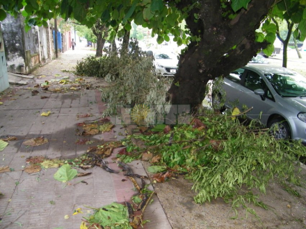 viento.jpg