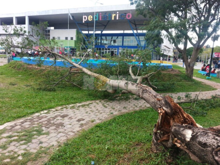 tormenta1.jpg