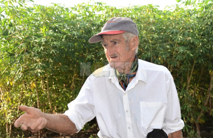 Don Cimbaro 2.jpg