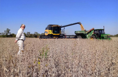 El Chaco ya cosechó 475.000 hectáreas de soja