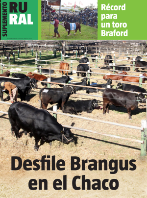 Record para un toro Bradford