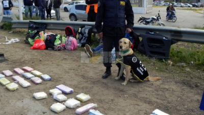 Llevaban escondido en el auto 56 kilos de marihuana secuestrados por la policía federal