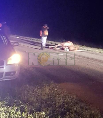 accidente fatal 3.jpg