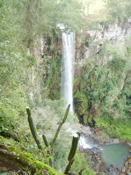 salto-encantado_00-(1).jpg