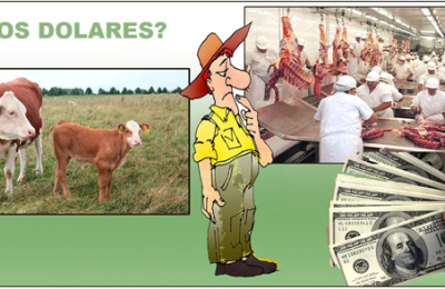 Carnes: el derrame aun no le llega al productor