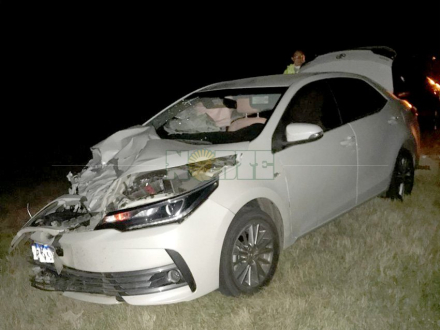 auto3.jpg