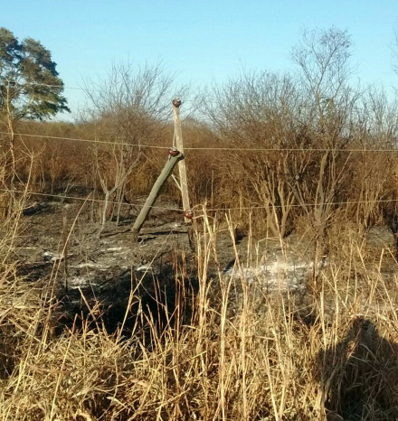 INCENDIOS RURALES.JPG