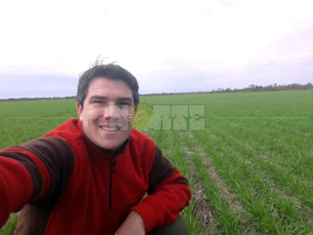 Trigo el inge Mariano Gonzalez.jpg
