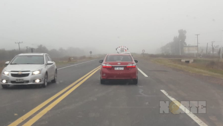 niebla4.jpg