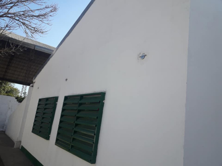 jardin 2.jpg