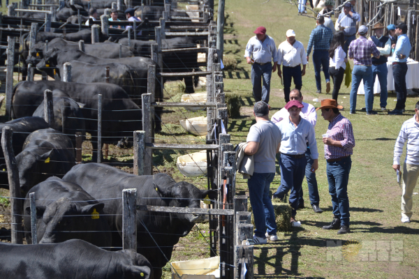 Foto 24