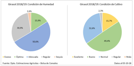 girasol.jpg