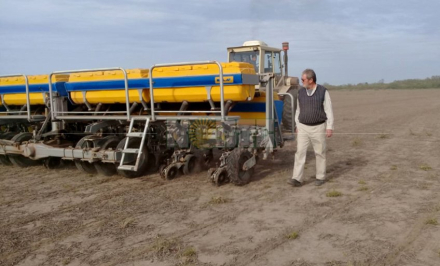 campo lalo.jpg
