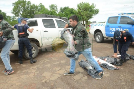 pescado 3.JPG