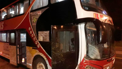Susto en ruta 16: colectivo impactó contra un caballo suelto