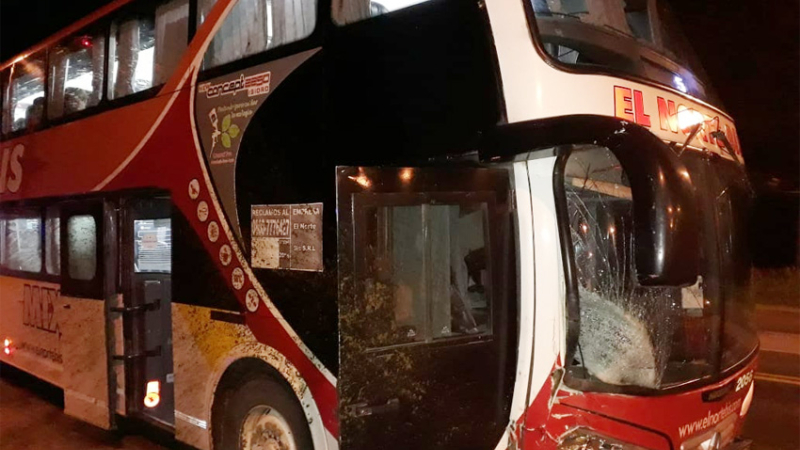 Susto en ruta 16: colectivo impactó contra un caballo suelto