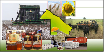 DIBUJODOMINGO00000.jpg