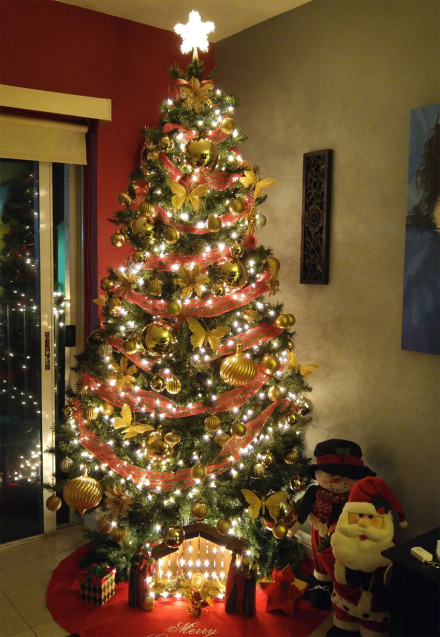 arbol.jpg