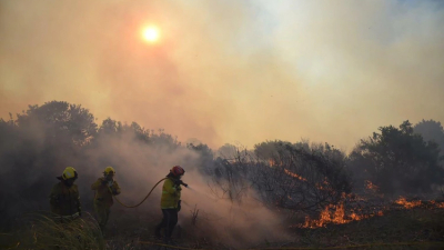 Un incendio forestal afecta la zona norte de Villa Gesell: estaría controlado