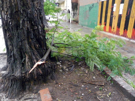 lluvia5.jpg