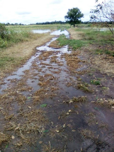 camino Basail.jpg