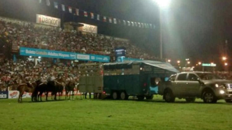 Murió un caballo durante la doma en el Festival de Jesús María