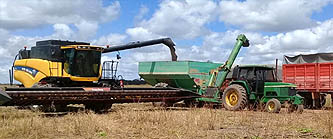 abrillarelsol48773.jpg