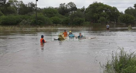 58rescate de animales.jpg