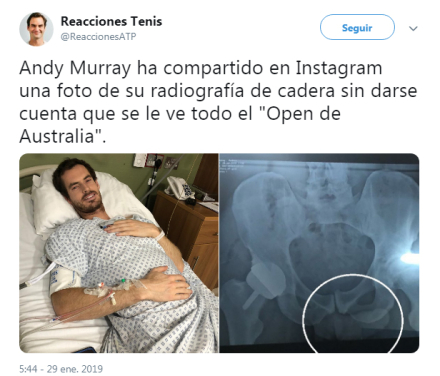 murray3.jpg