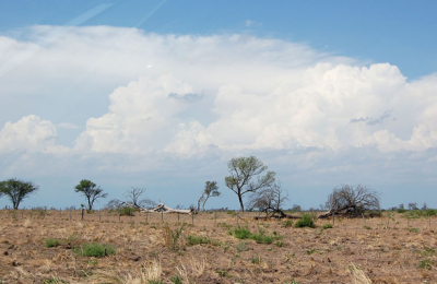 Los delitos contra el medio ambiente que contempla la reforma del Código Penal