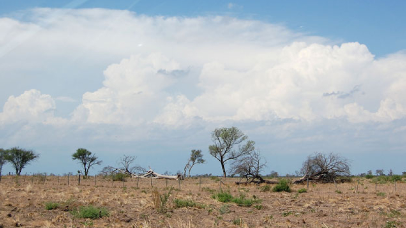 Los delitos contra el medio ambiente que contempla la reforma del Código Penal