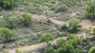 Suspensión del desmonte y emergencia ambiental