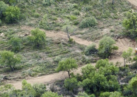 DESMONTE-3.jpg