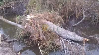 Productores rurales advierten sobre obstrucciones en Canal de la Colorada