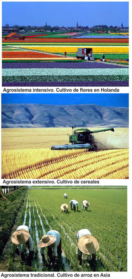 Geo-03-2019.-agrosistemas-(.jpg