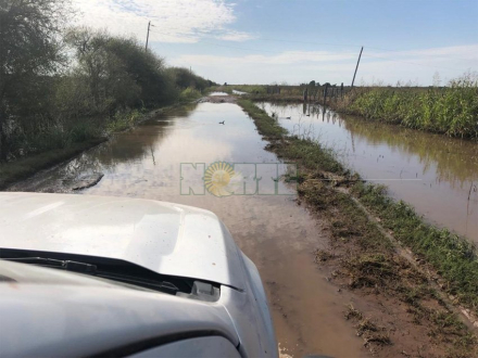 hermoso campo2.jpg