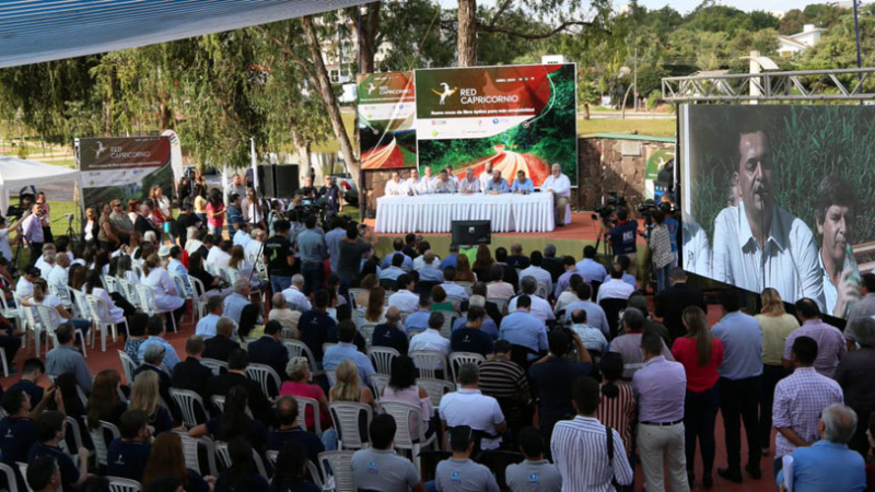 Se inauguró en Misiones la red de fibra óptica que conectará al Chaco desde Brasil