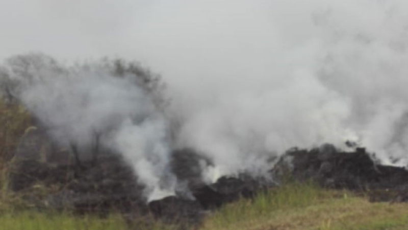Bomberos controlaron un incendio a la vera de la ruta