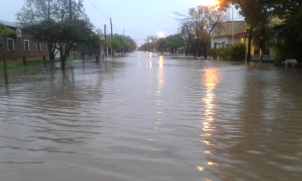 Pinedo temporal.jpg