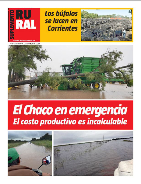 El Chaco en emergencia: el costo productivo es incalculable
