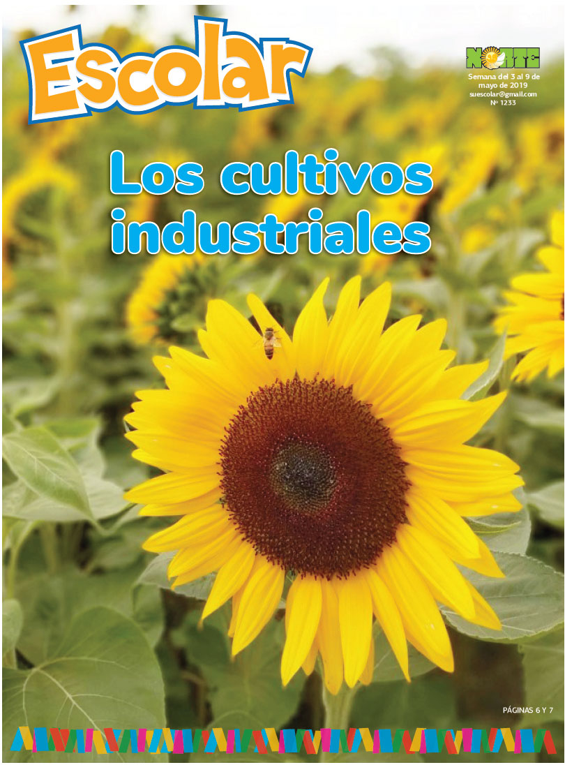 Los cultivos industriales