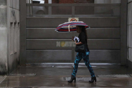 lluvia mayo.jpg