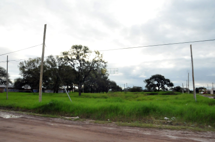 DSC_8396.JPG