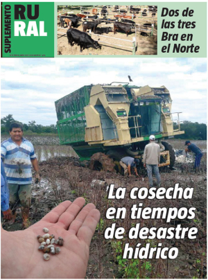 La cosecha en tiempos de desastre hídrico