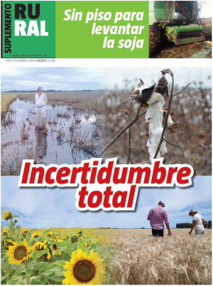 Incertidumbre total