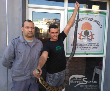 refugio.jpg